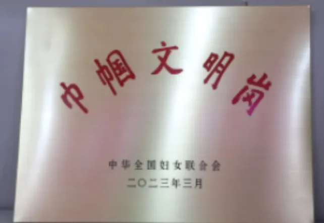 ​再上新台阶！沅江市妇幼保健院成功开展恶性妇科肿瘤高级别手术